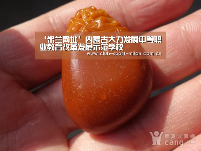 ‘米兰网址’内蒙古大力发展中等职业教育改革发展示范学校(图2) 米兰体育网页