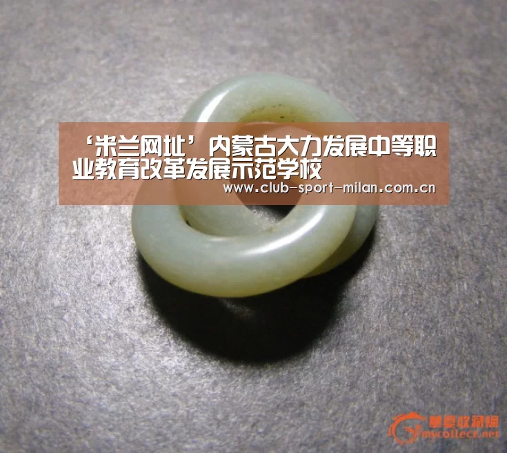 ‘米兰网址’内蒙古大力发展中等职业教育改革发展示范学校(图1) 米兰网址