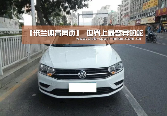 米兰体育网页