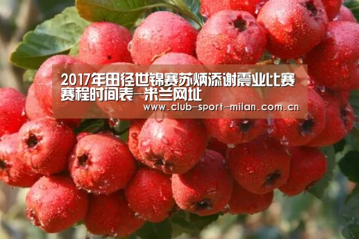 米兰体育网页